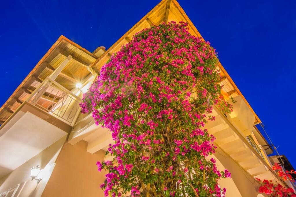 Villa Emily Zakynthos Planos Exterior foto